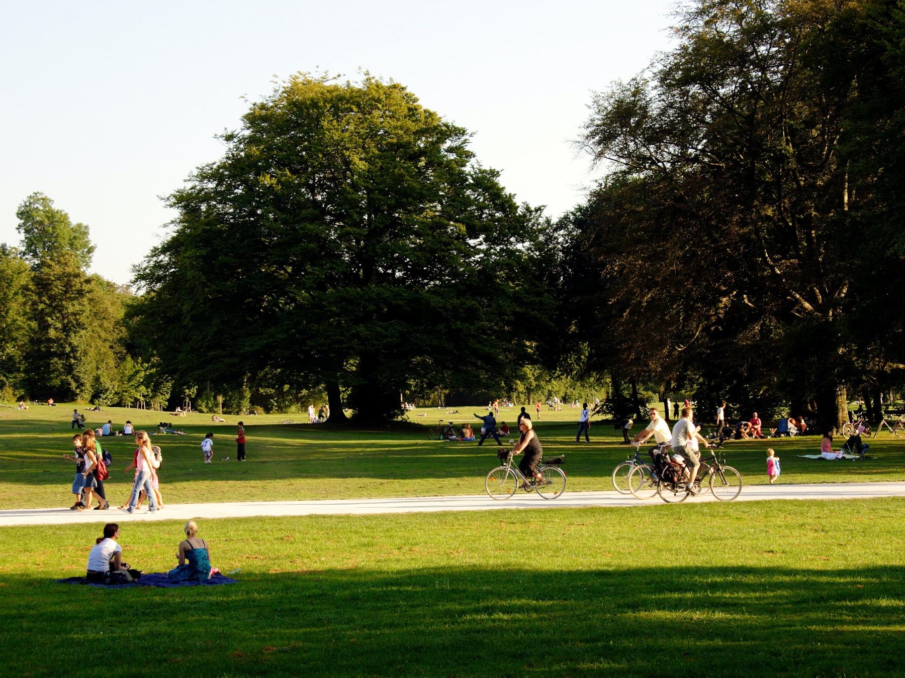 People Relaxing in Park